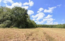 Smith Avenue Road, Carthage, MS 39051