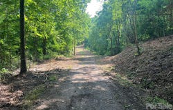 Compromise Drive, Waynesville, NC 28785