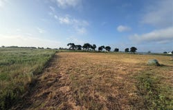 Kayak Cove lot: 58, Corsicana, TX 75109