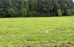 Old River Rd lot: 10-29, Pangburn, AR 72121
