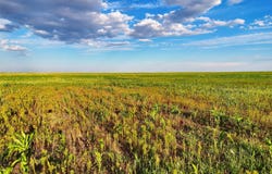 County Road V, Walsh, CO 81090