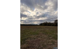 COUNTY ROAD 32 lot: 50, PIEDMONT, AL 36272