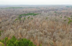 Greenfield, Harrisburg, AR 72432