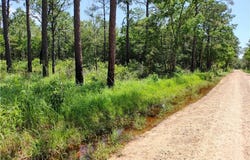 Johnson Road, Coden, AL 36523