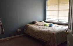 1204 CACTUS Avenue, Columbia, SC 29210