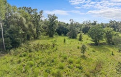 W US Hwy 27, Mayo, FL 32066