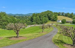 450 Nc Hwy 88 E, Jefferson, NC 28640