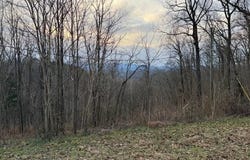 971 Scenic River Rd, Madisonville, TN 37354