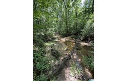 COUNTY ROAD 246 lot: 91, FIVE POINTS, AL 36855