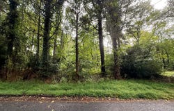 ROSEMONT Circle, ELKTON, MD 21921