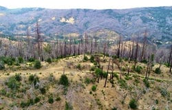 1581 Marshall Rock Rd, Ruth, CA 95526