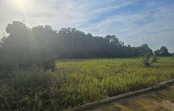 Walker Road, Cleveland, MS 38732
