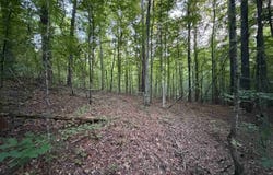 12040 Attala Road 3221, West, MS 39192