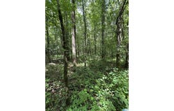 COUNTY ROAD 246 lot: 91, FIVE POINTS, AL 36855