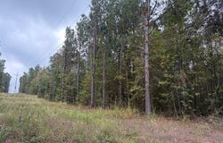 MC 35, Doddridge, AR 71834