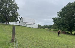 1107 Lower Ford Road, Ava, MO 65608