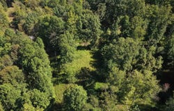 Third Run Road, Glenvile, WV 26351