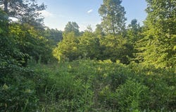 Tomahawk Slab Rd, Saint Joe, AR 72675