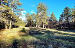 225 Badger Trail, Ridgway, CO 81432