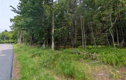 Harris Road, Harris, NY 12742