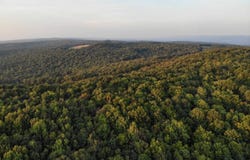 Bryner Rd, Ohiopyle, PA 15470