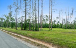 0 LeJeune Road, Ragley, LA 70657