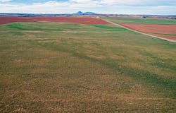Road 15, Pleasant View, CO 81331