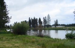 41763 Royal Coachman Drive, Chiloquin, OR 97624