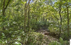 80 +/- Acres Proctor Lane, Gravois Mills, MO 65037