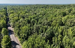Hardy Rd, GRENADA, MS 38901