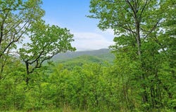 4187 W Old Murphy Road, Franklin, NC 28734