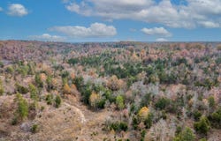 Kerley Point Cove Road, Elizabeth, AR 72531