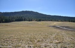 264 Cobblestone Ln, Plummer, ID 83851