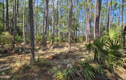 323 Baker Creek Road, Nahunta, GA 31553