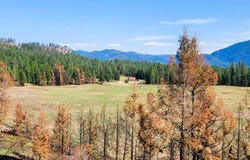 34XX NORTHPORT FLAT CREEK RD, KETTLE FALLS, WA 99141