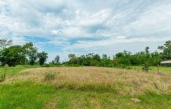 2450 Red Maple Rd, Big Sandy, TX 75755