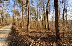 Muddy Ridge Rd, Adams, KY 41201