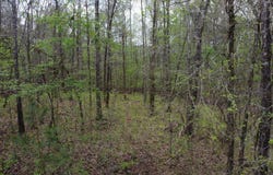 WIND ROW Ln, Bremen, AL 35033