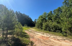Hwy 43, Poplarville, MS 39470