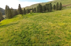 American Ridge Rd (Parcel 5), Kendrick, ID 83537