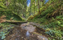 01 Pringle, SOQUEL, CA 95073