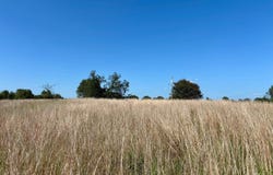 S 4190 Road, Hugo, OK 74743