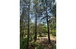 155 Charmed Ridge Lane, Broken Bow, OK 74728