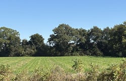 501 State Highway HH, Mathews, MO 63867