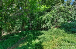 21 Maple Avenue, Candler, NC 28715