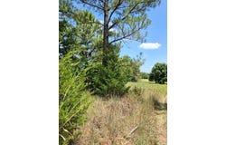 county Road 1460, Ada, OK 74820