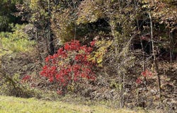 HIGHWAY 75 lot: 2, ONEONTA, AL 35121