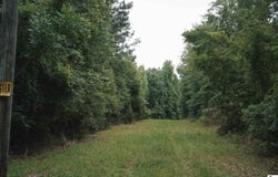 HURST ROAD, Weston, LA 71251