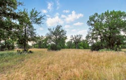 Skyline Dr lot: 205, Kingsland, TX 78639