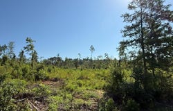 Pate Road, Tremont, MS 38876